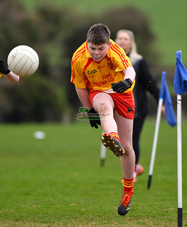 73