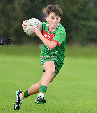 46