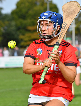 26