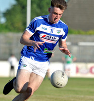 12 Damon Larkin Laois